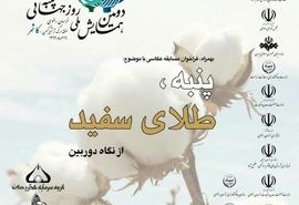 همایش ملی روز جهانی پنبه