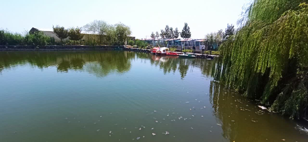 photo29565998263