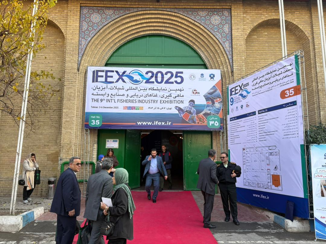 WhatsApp Image 2025-12-03 at 14.29.12_54310998