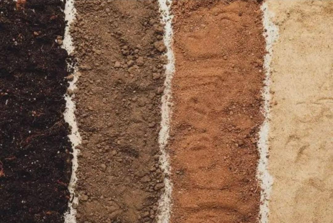 WhatsApp Image 2025-11-29 at 10.37.11 AM