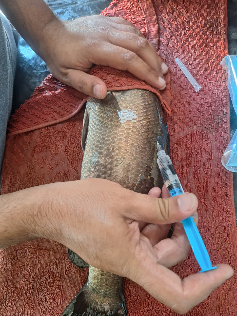 WhatsApp Image 2025-11-20 at 12.29.49_847e8b78