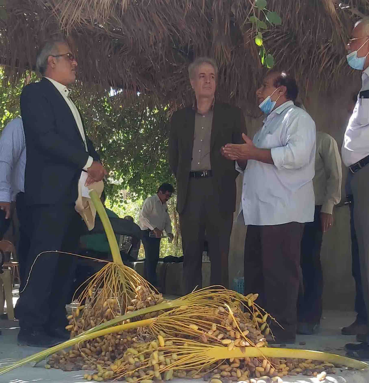 WhatsApp Image 2025-11-28 at 09.36.50_dee4e63a