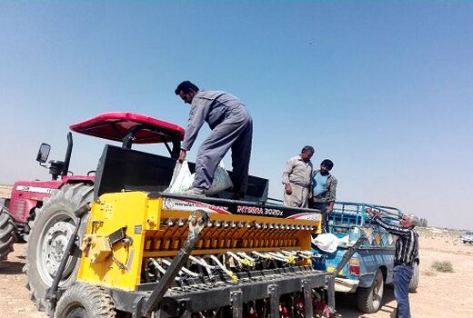 اختصاص 8 هزار هکتار برای کشت شَتَوی در سروستان
