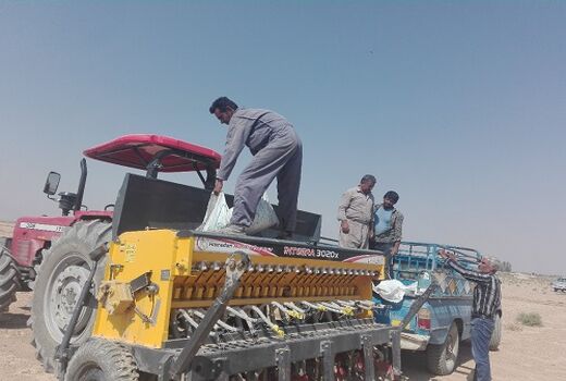 اختصاص 8 هزار هکتار برای کشت شَتَوی در سروستان