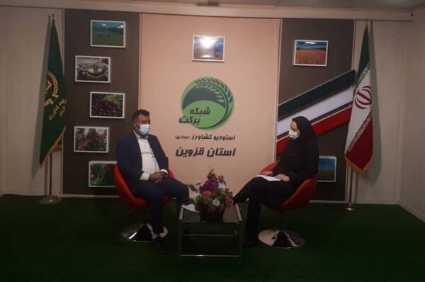 بررسی موضوع "ظرفیت‌های صادرات محصول انگور" در برنامه استودیو کشاورز استان قزوین
