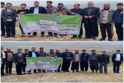 آموزش مدیریت تغذیه در دیمزارهای دزفول