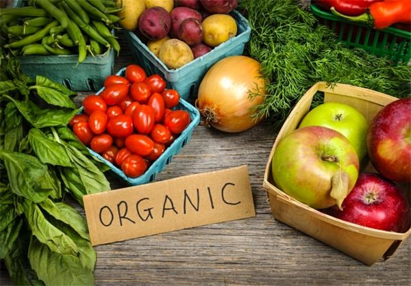  افزایش 50درصدی محصولات باغی با تغذیه تلفیقی