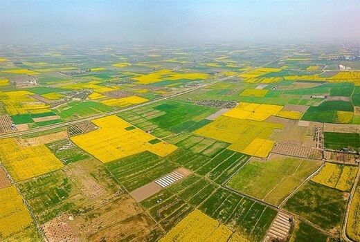 نظارت مستمر بر مجوزهای حفظ کاربری اراضی کشاورزی؛ گامی در مسیر توسعه پایدار