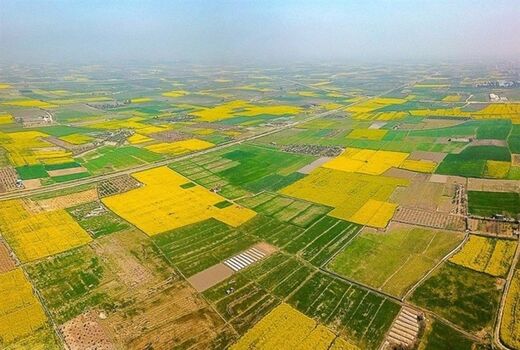  بیش از پنج هزار پرونده اراضی قزوین در سامانه سحاک بررسی شد