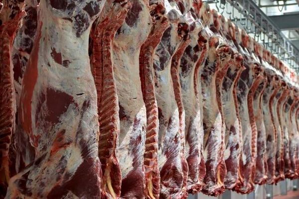 قیمت گوشت را به زیر 300 هزار تومان می‌رسانیم