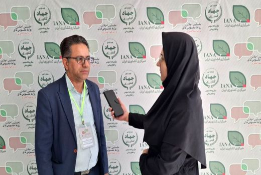 شفاف‌سازی حواشی را کاهش می‌دهد