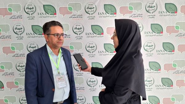 شفاف‌سازی حواشی را کاهش می‌دهد