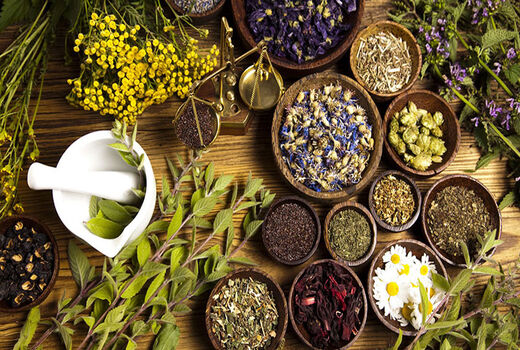 گیاهان دارویی ظرفیت عظیم جهش اقتصادی