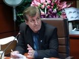مدیریت سگ‌های بی‌صاحب وظیفه شهرداری‌ها است/ لزوم توسعه کشتارگاه‌های صنعتی