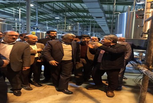 آغاز بهر برداری از طرح تولید انواع کنستانتره میوه در یزد 