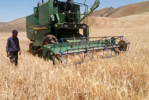 آغاز برداشت محصول گندم و جو در مزارع شهرستان کلیبـر