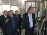 تعاونی‌ها حلقه اتصال کشاورزان با دولت هستند