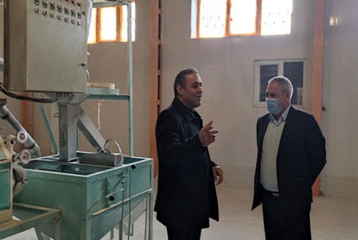 تولید انواع نان با آرد کامل در شهرستان مرند