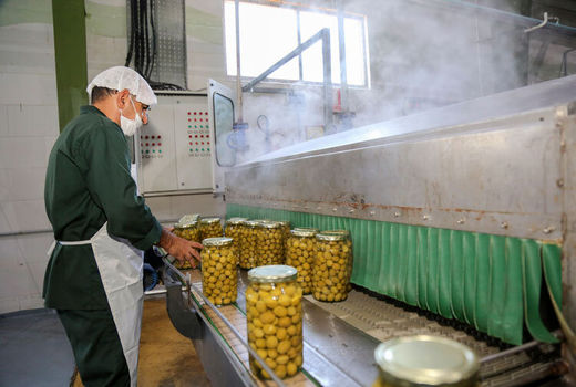 ۱۵ فقره پروانه بهره برداری صنایع تبدیلی کشاورزی در استان قزوین صادر شد     