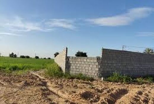 بازدید 66 طرح دارای مجوز تغییرکاربری در خوزستان