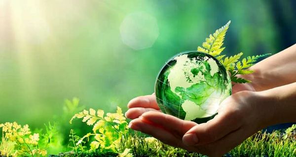 الزام پیوستهای زیستمحیطی؛ چراغ راه توسعه پایدار در ایران