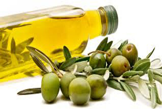 تولید روغن زیتون در طارم به ۷۰ درصد افزایش می یابد