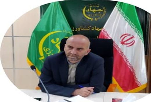 توسعه بخش کشاورزی با کمک تشکل های این حوزه