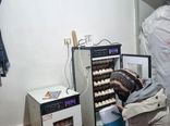 ۷۰ درصد اعضای زنجیره ارزش مرغ بومی قزوین برای دریافت تسهیلات معرفی شدند