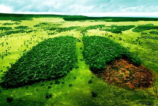 بزرگداشت هفته محیط زیست با بهره گیری از فضای مجازی 