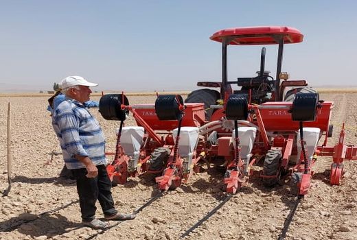 کشت پنبه در زرین داشت کاهشی شد