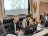 توسعه هزار هکتار باغ در اراضی کشاورزی استان در سال جاری