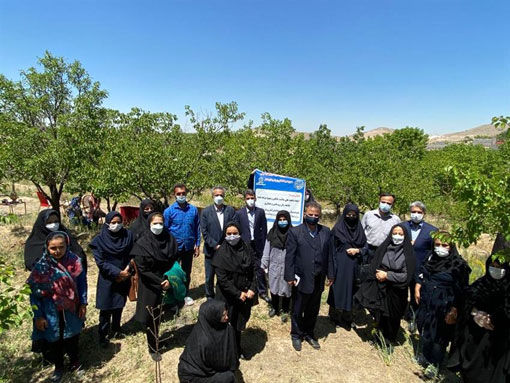 بازدید از پروژه مشترک ایجاد سایت باغچه های خانگی زنان روستایی دراستان آذربایجان شرقی