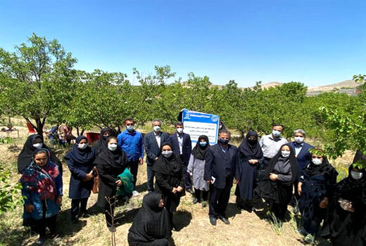 بازدید از پروژه مشترک ایجاد سایت باغچه های خانگی زنان روستایی دراستان آذربایجان شرقی