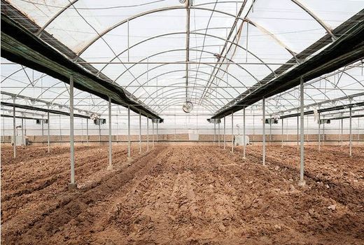 89 مجوز تاسیس گلخانه در خراسان شمالی صادر شد