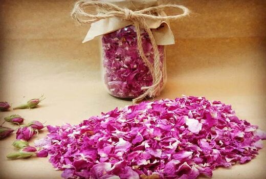 زیرساخت‌های مورد نیاز برای برندسازی در صنعت کشاورزی