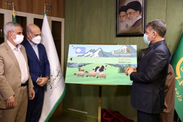 اختصاص "دامدار کارت" برای تامین هزینه‌های دامداران روستایی و عشایر
