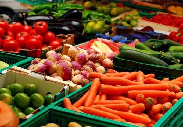 رشد 5.5 درصدی صادرات محصولات کشاورزی 