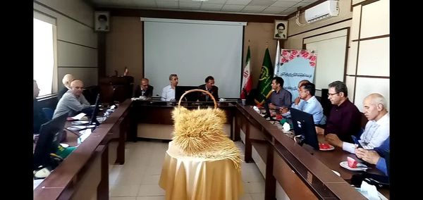 جهش در دیمزارها با قدرت فناوریهای نوین