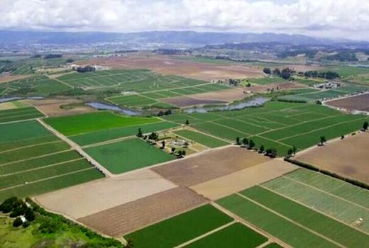 اراضی غیر ملی در شهرستان‌های دشتستان و جم تثبیت شد