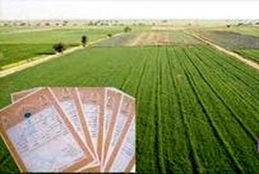 صدور سند مالکیت مفروزی برای اراضی کشاورزی مشاع در مرودشت آغاز شد