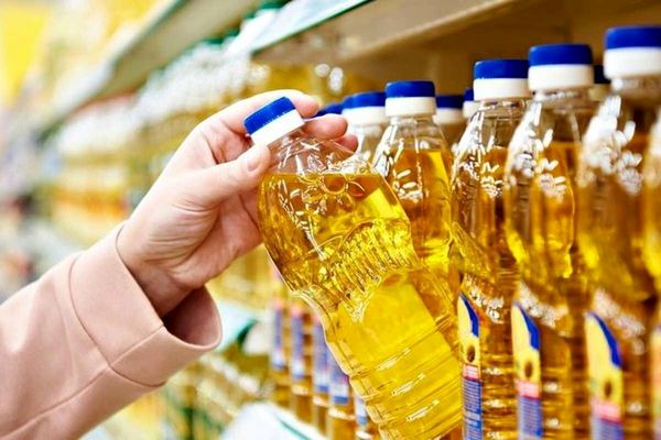 آینده تولید روغن خوراکی در ایران؛ وابستگی امروز، فرصتهای فردا