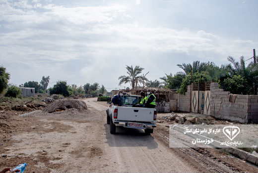 ایمن سازی بیش از 265 هزار نوبت سر دام در مناطق محروم خوزستان علیه بیماریهای دامی