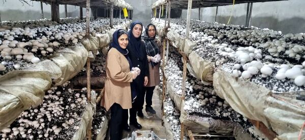 جهاد کشاورزی جهرم پیشگام حمایت از مشاغل خانگی