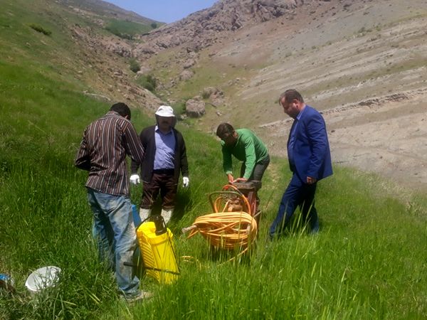 پایش مزارع وکنترل و مبارزه با ملخ بومی البرز