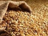 نیاز دامداری‌های خراسان شمالی به ۱۳۰ هزار تن جو 