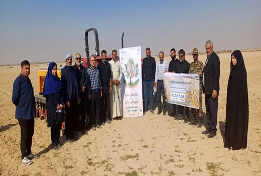  مدیریت اصولی کاشت و آزمون خاک، کلید کاهش شکاف عملکرد واقعی و توان تولیدی مزارع گندم خوزستان