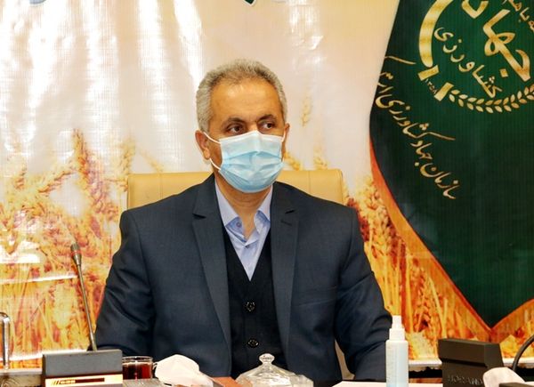 قرار داد اجرای جهش تولید دیم‌زارها در ۵۶ درصد اراضی کردستان منعقد شد