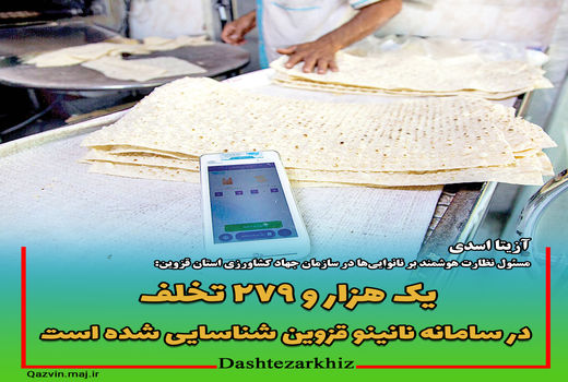 یک هزار و ۲۷۹ تخلف در سامانه نانینو قزوین شناسایی شده است