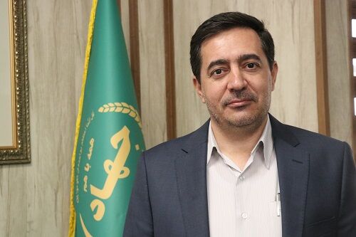 77 طرح کشاورزی استان فارس در دهه فجر افتتاح می شود