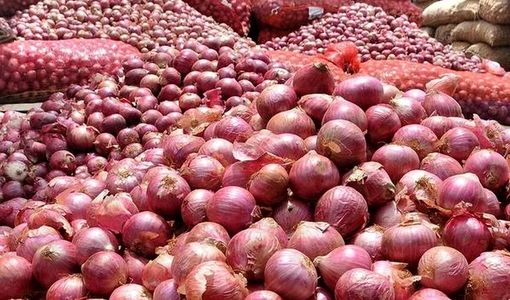 صادرات محصول پیاز مازاد بر مصرف تسهیل می‌شود